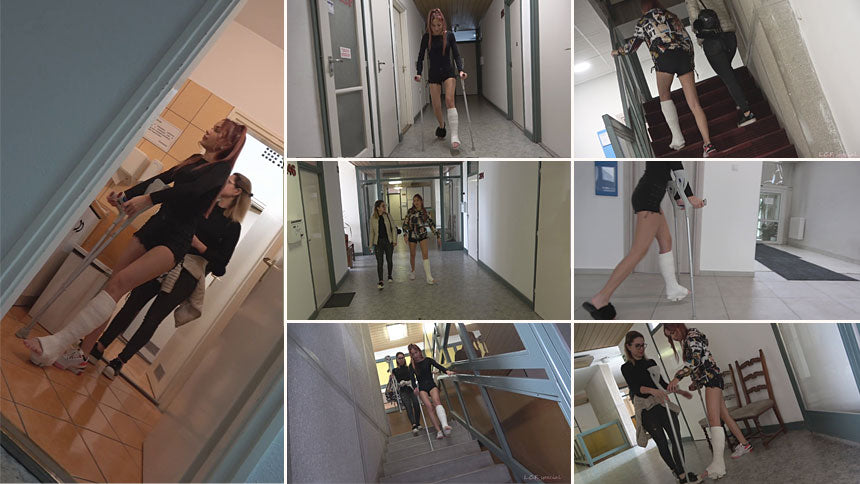 Trixie plaster SLWC meet