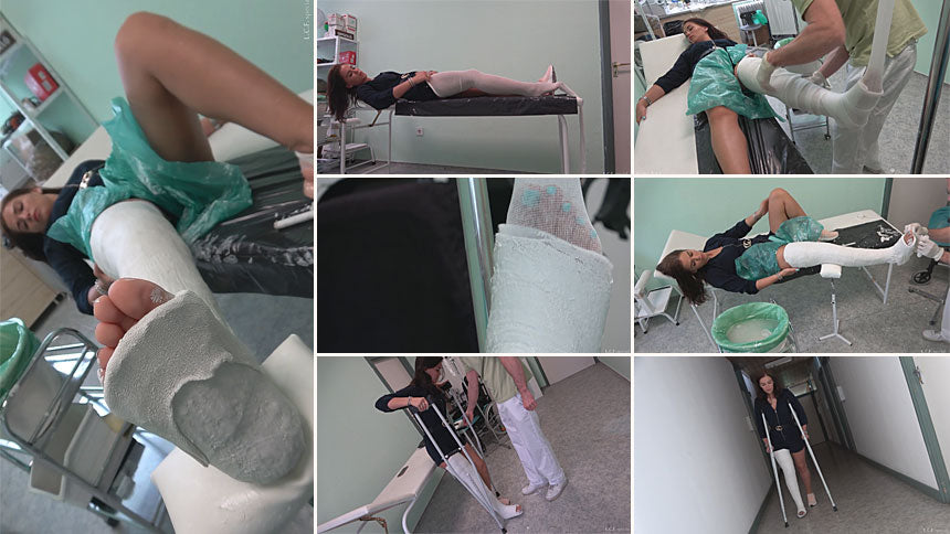 Alietta plaster LLC application