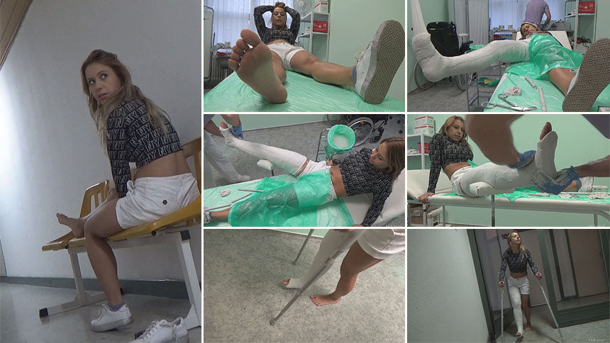 Alison plaster LLC application