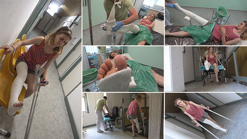 Dorothy plaster LLC application